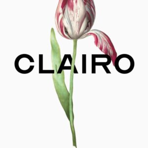 Clairo Flower Art Hoodie - Image 3